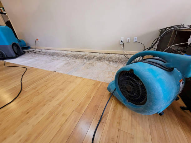 Professional Structural Drying technician working in Shoemakersville, PA